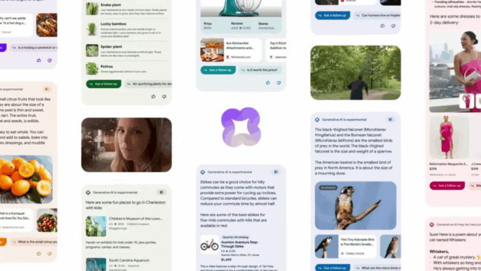 search generative experience